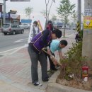 금천리경로당 이미지