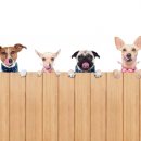 웰빙산업 이미지