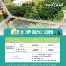 파주골토박이순두부 이미지