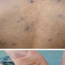 88플러스내과의원 이미지