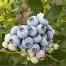 갈마농원 이미지