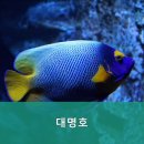 즐거운낚시 이미지