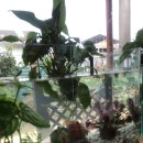 (주)양촌 공판장 이미지