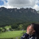 로카와 델피노2 이미지