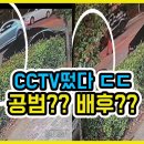 cctv 벤츠에서 내린 범인, 공범?? 배후?? 이미지