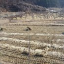 진선미농장 이미지