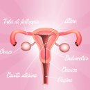 퀸즈산부인과의원 이미지