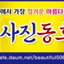 Re: 새해 첫 출사 1월4일 천둥번개 서울윈터페스타 빛초롱 축제 참석명단 이미지