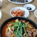 핑크피크닉 이미지