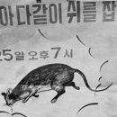 스토니 - 서귀포시 오조로 62 | 스토니