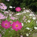 수역이길 이미지