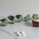 대한솔루션 | 아디넥스 솔루션 2통째 내돈내산 후기 포만감으로 야식 참기 성공한 팁 다이어트 보조제