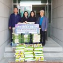 카사벨라 이미지