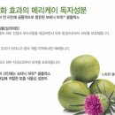 케이커스트 이미지