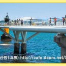 송도용궁구름다리 이미지