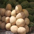 실크로드주유소 네이버블로그