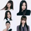 C.T.종합동물병원 이미지