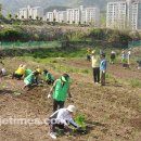장승포동 주민센터 이미지