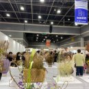 생활양재 이미지