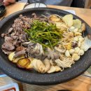 돈쿠테