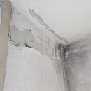 유니버시아드로 | 대구 유니버시아드 아파트, 왜 이사청소에서 곰팡이가 문제였을까