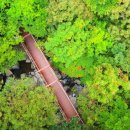 축령산자연휴양림 이미지