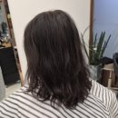 나비헤어 | 산본역 미용실 나비헤어 레이어드컷 후기