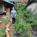 공단이용소 이미지