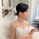 마리스포사앤아뜰리에레이나 이미지