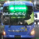 블루시티 이미지