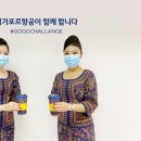 고고트래블 이미지