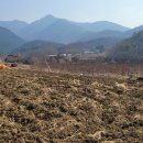 드림스포츠 센터 이미지