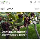 애바다 농장 | 포도 사지말고 따세요! 송산 포도 농장체험(예약방법부터 체험후기)