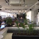 인제로262 이미지