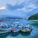 완도 주도 상록수림 이미지