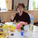 샬롬아울렛 이미지