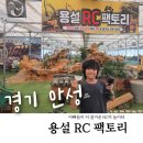 안성 아이와 가볼만한곳 용설바위솔&amp;RC팩토리 RC카 체험장 후기