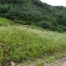 (유)정선 이미지