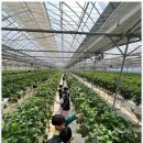 단국대 라이온태권도장 이미지