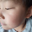 썬 | 아기선쿠션 추천 몽디에스 초등학생썬쿠션 후기