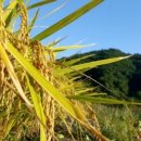 행복철물 이미지