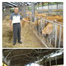 고급육생산목장 이미지