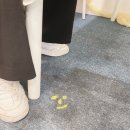 코딱지 당구장 이미지