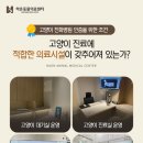 미소동물치과병원 이미지
