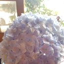 꿈in게스트하우스 이미지