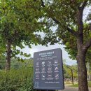 환호동 환호어린이 작은도서관 | 포항 스페이스 워크 환호 식물원 갔다가 실패한 후기 (feat 느닷없는 사마귀채집)