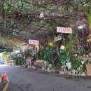 남천1-302 이미지