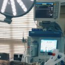 한라동물병원 이미지