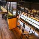 도그스퀘어 이미지