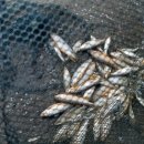 은지가든 이미지